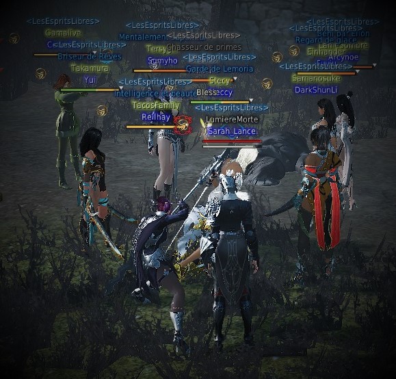 image de la guilde